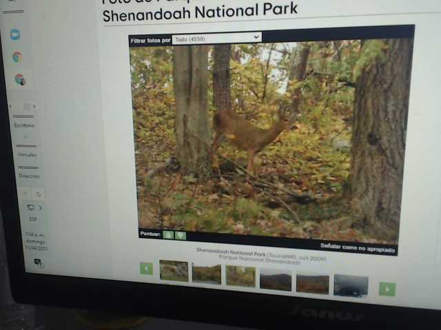 Live sex webcam photo for julianahothot #241350397