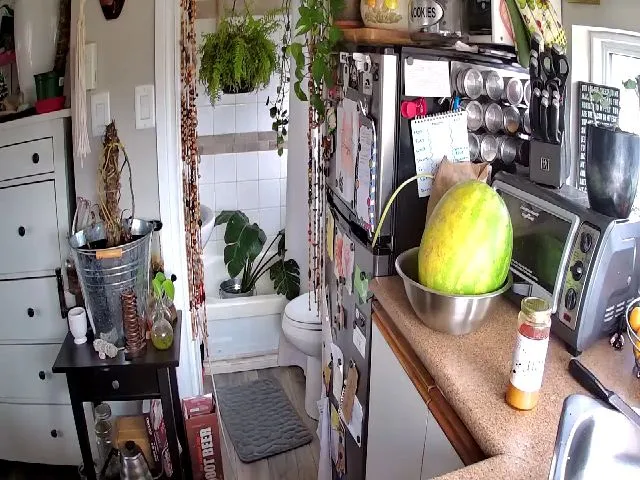 Live sex webcam photo for Sexylexi211 #256414961