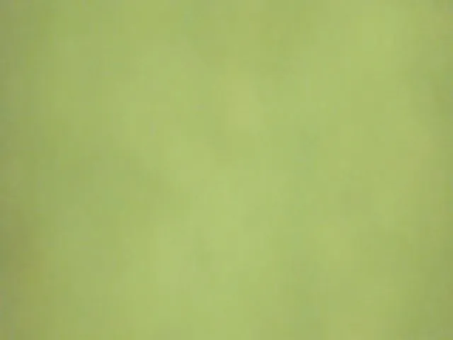 Live sex webcam photo for A11yson #257156273