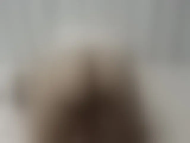 Live sex webcam photo for SexyLatinX4U #252655844