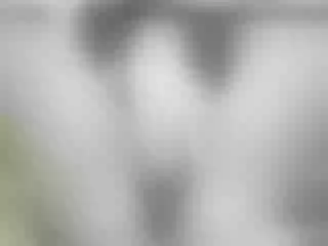 Live sex webcam photo for Sara-Bi #240955020