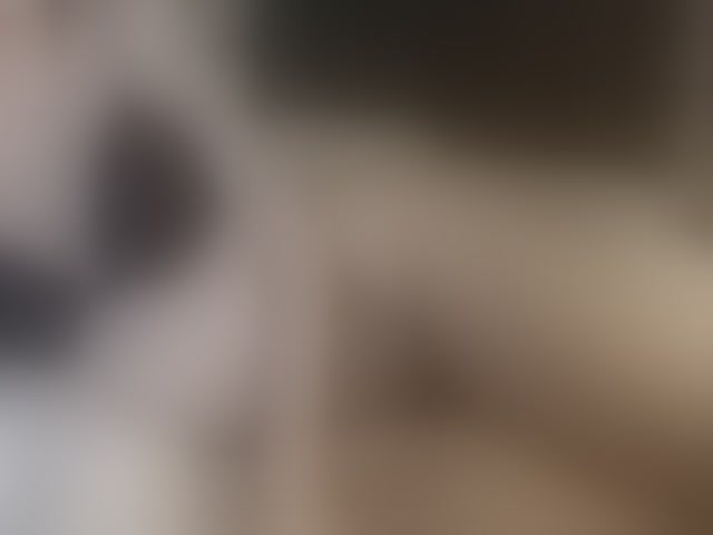 Live sex webcam photo for Sonyabrage #260984162