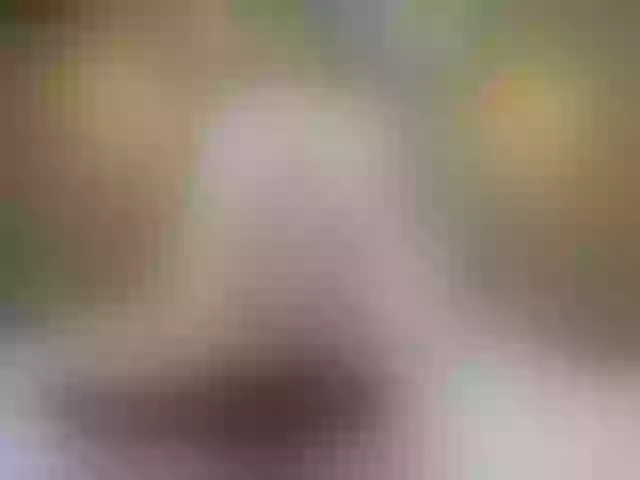 Live sex webcam photo for Miia_cox #264249963