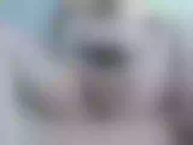 Live sex webcam photo for Alida-2 #250276990