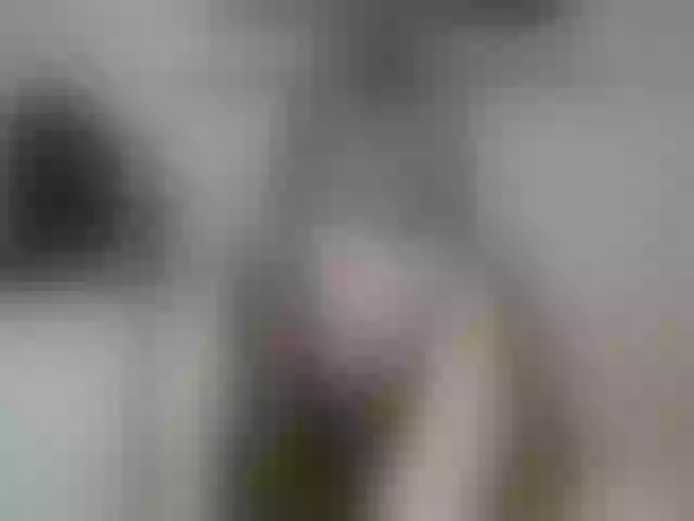 Live sex webcam photo for Terra1123 #261611783