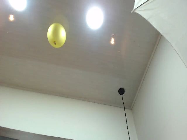 Live sex webcam photo for AnaSaenz #256076995