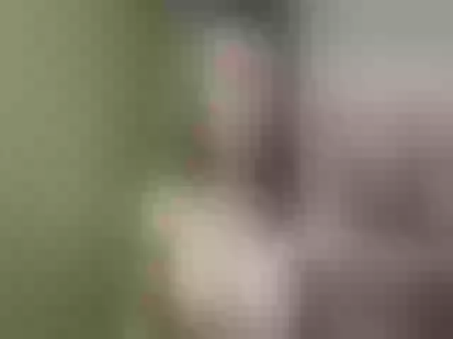 Live sex webcam photo for Evelynevi #252968378
