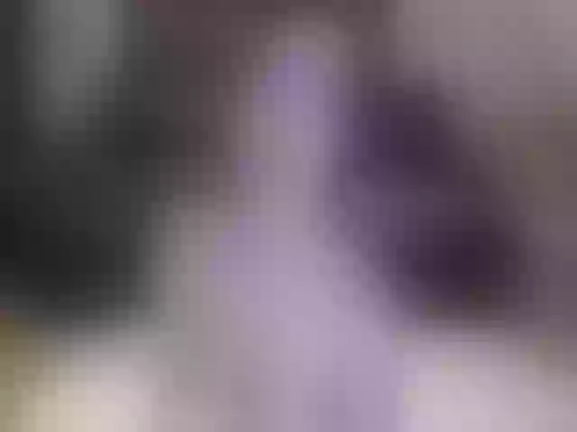 Live sex webcam photo for JaylaBliss #258019333