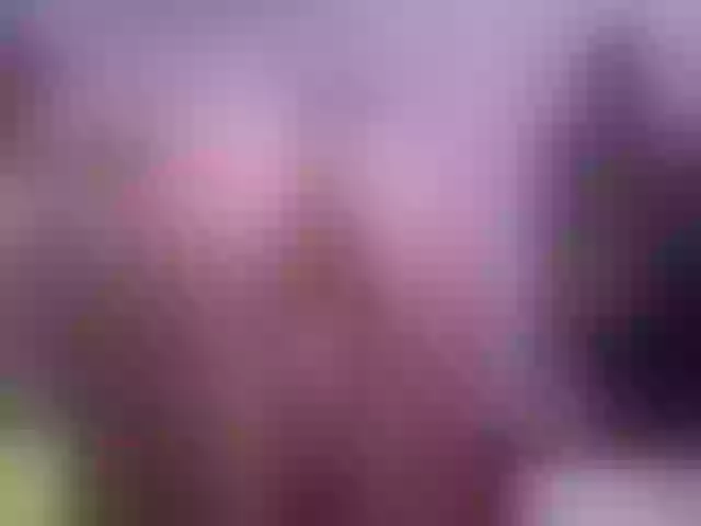 Live sex webcam photo for Ysabeau #256134336