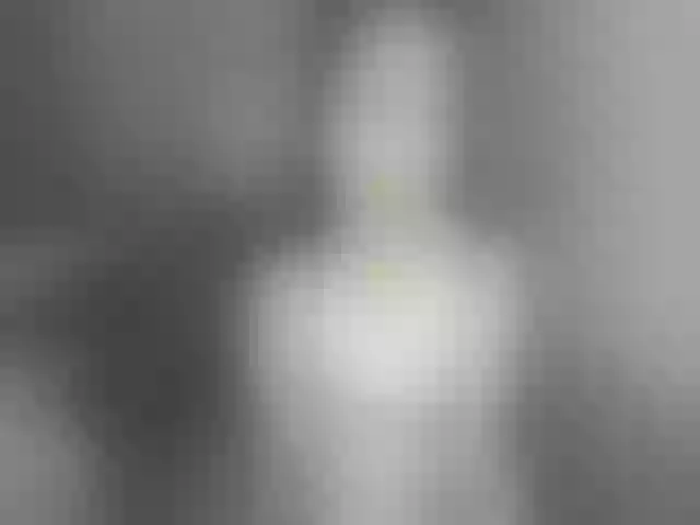 Live sex webcam photo for AyaJanae #264830965
