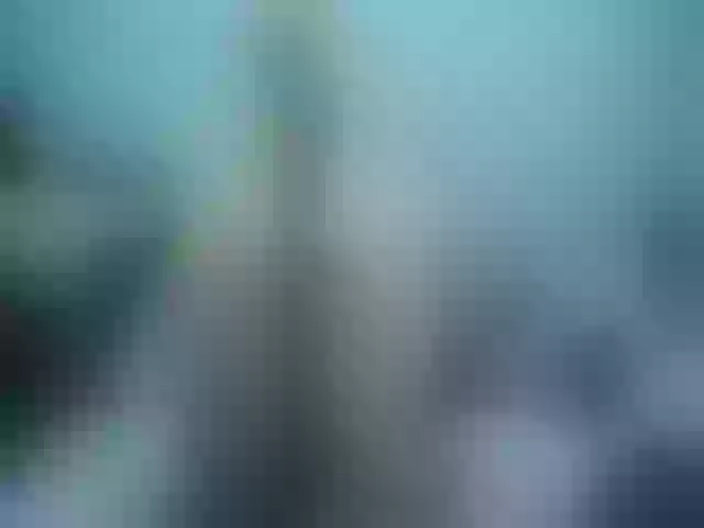 Live sex webcam photo for Girlhornyx20 #258288707