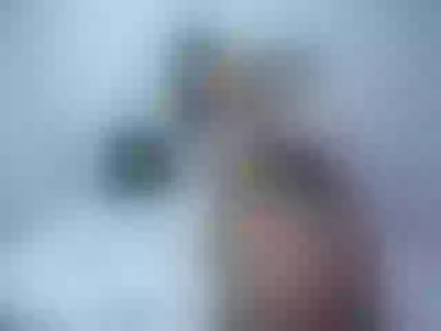 Live sex webcam photo for Mymysterryy24 #254663259