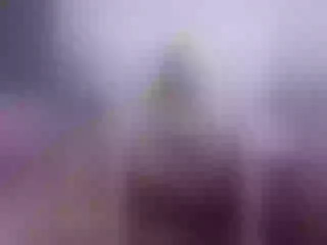Live sex webcam photo for BeautyKissa #256229291