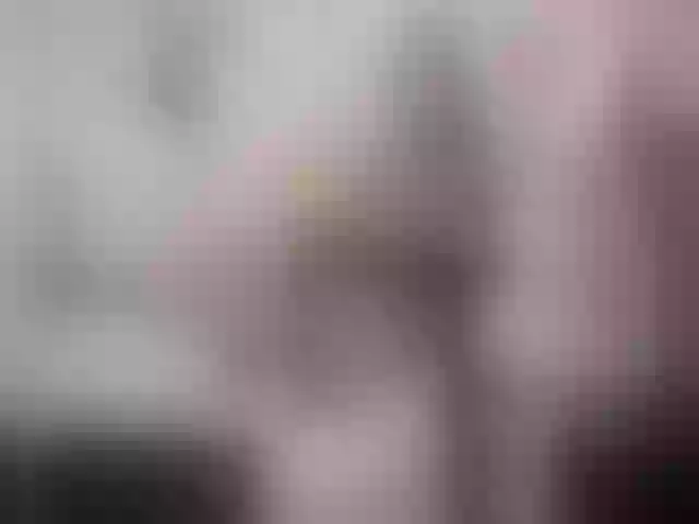 Live sex webcam photo for SexyAshley2x #262037651