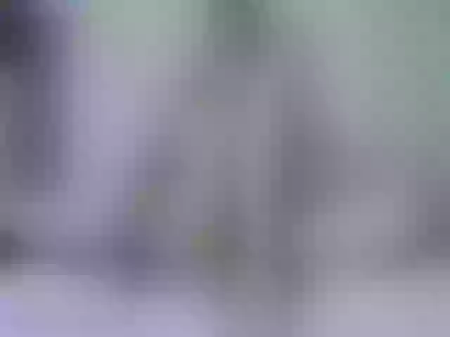 Live sex webcam photo for Mokkoann #263842716