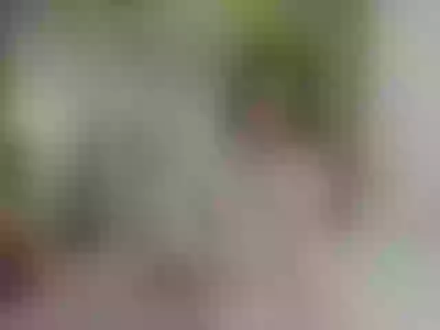 Live sex webcam photo for sofia-lopeez #249845866