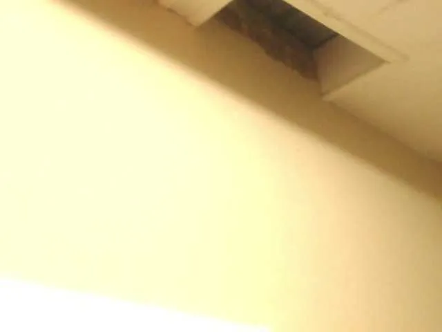 Live sex webcam photo for MilkySlender #245090630