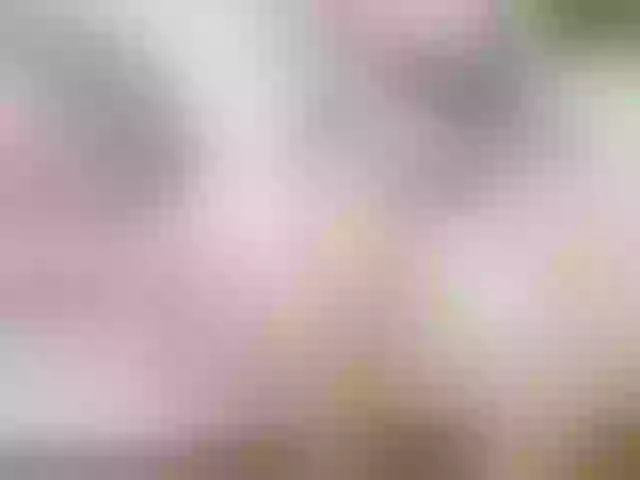Live sex webcam photo for squirt4dirty #243187026