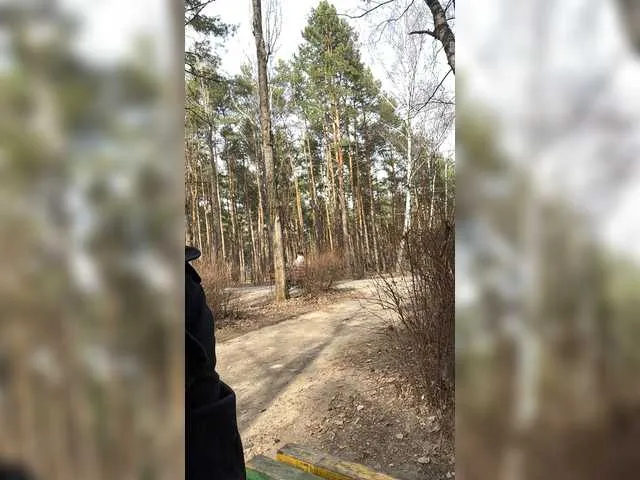 Live sex webcam photo for Kisa-Gav #241363050