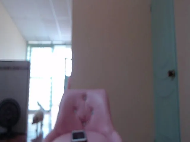 Live sex webcam photo for Naomi_ferrer #254213664