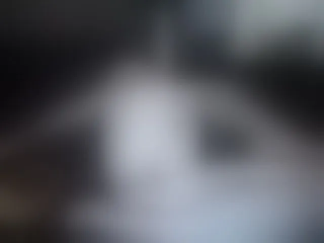 Live sex webcam photo for XHornycandyX #254797482