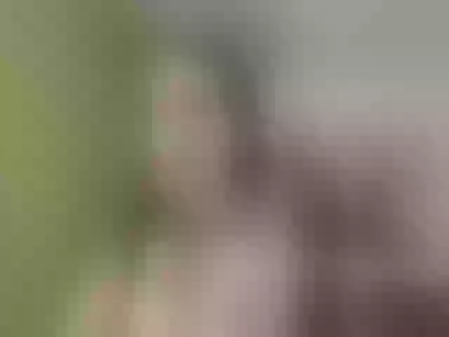 Live sex webcam photo for Evelynevi #253283682