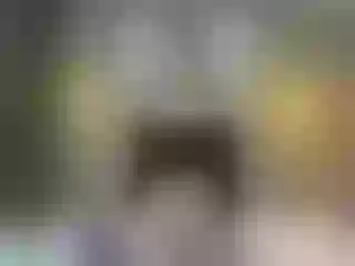 Live sex webcam photo for Miia_cox #251866980
