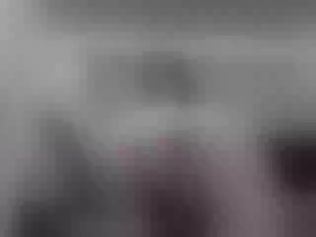 Live sex webcam photo for girasol-walto #247035267