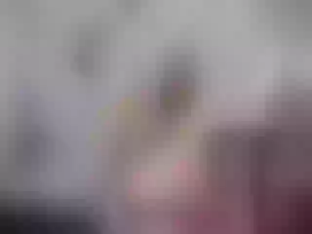 Live sex webcam photo for SexyAshley2x #254761274