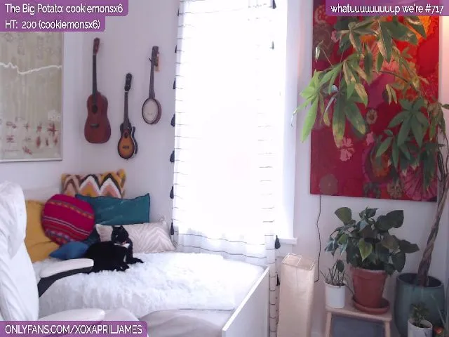Live sex webcam photo for AprilJames #262145262