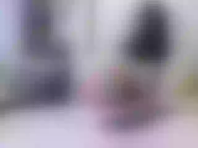 Live sex webcam photo for Vikibru #240979781