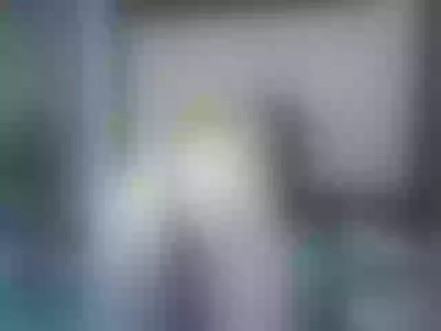Live sex webcam photo for Medussangel #264450958