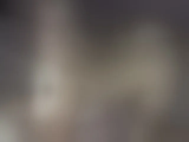 Live sex webcam photo for Xtina_ #262265090