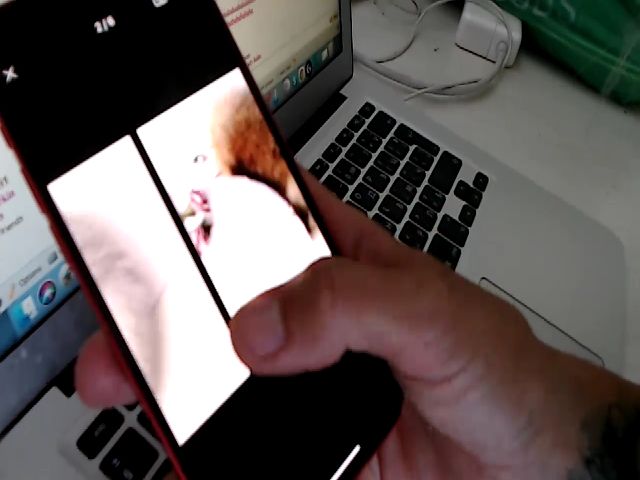 Live sex webcam photo for HerEyeSXs #253743282