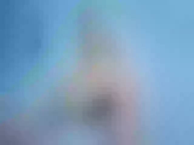 Live sex webcam photo for MayaTheLove #262718896