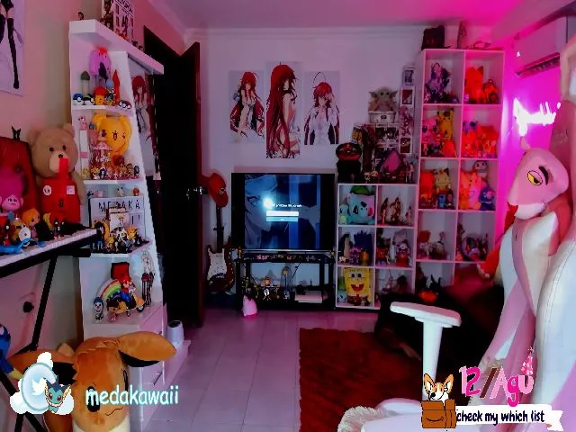 Live sex webcam photo for Medakawai #255599031