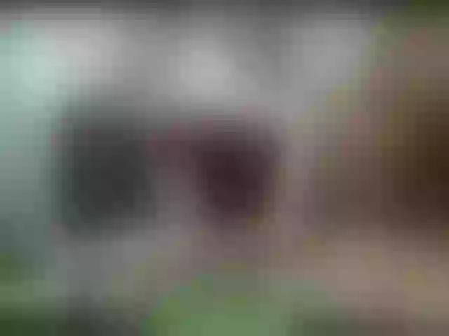 Live sex webcam photo for alisablond #245684063