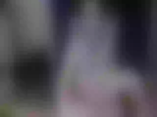 Live sex webcam photo for PlayfulSamira #263829793