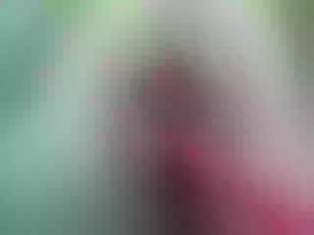 Live sex webcam photo for pevicha #240910589