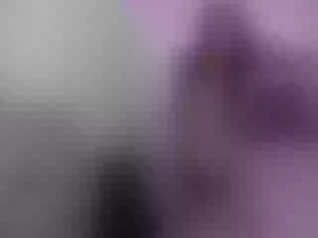 Live sex webcam photo for MeganMaxine #256603793