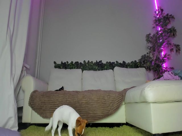 Live sex webcam photo for Littlewetgirl #254199811