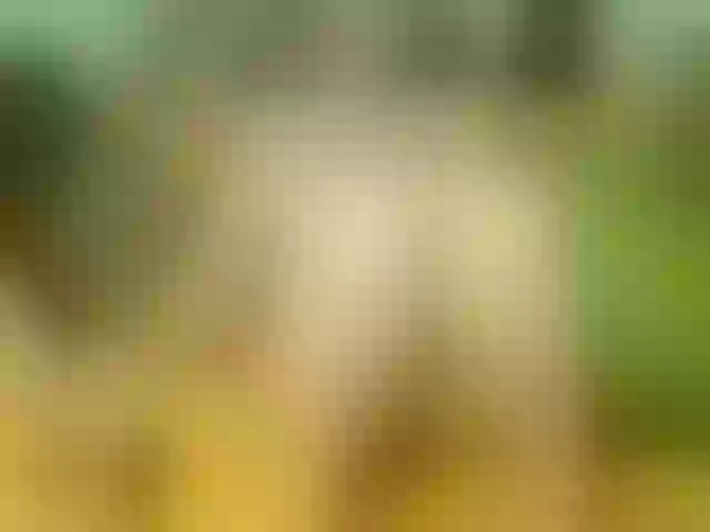 Live sex webcam photo for Luiziana111 #245495442