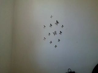 Live sex webcam photo for MisssSun #251827792