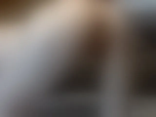 Live sex webcam photo for fox-seks #241545470
