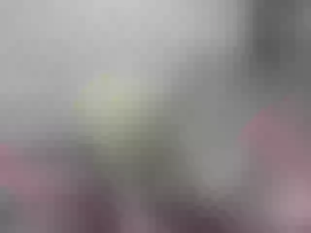 Live sex webcam photo for Misskristina #258495678