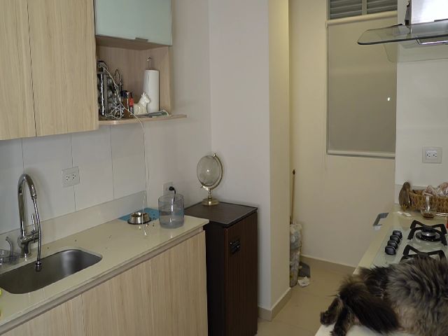 Live sex webcam photo for Michusaudade #253603926