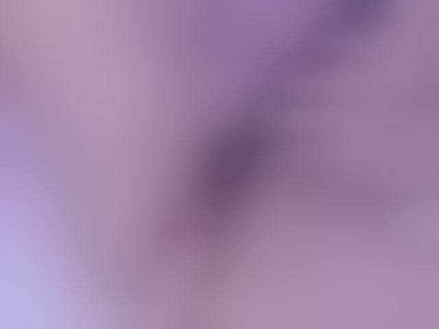 Live sex webcam photo for Annjoy #252332850