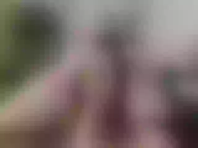 Live sex webcam photo for Evelynevi #254071164