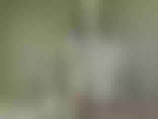 Live sex webcam photo for Tiffanylee1 #254748588
