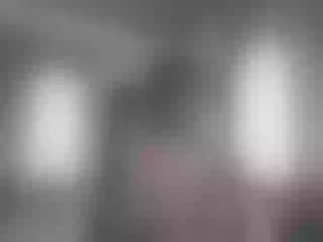 Live sex webcam photo for girasol-walto #264429257